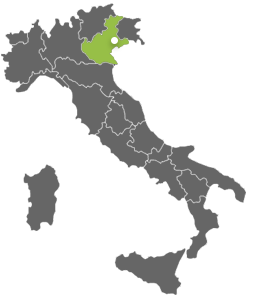 Zaccheo Group mappa