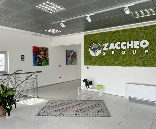 Sede Zaccheo